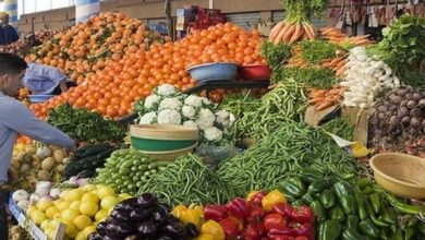 Photo of أسعار الخضروات والفواكه في أسواق قطاع غزة اليوم 